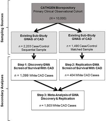 Genome-Wide Variants Associated With Longitudinal Survival Outcomes Among Individuals With Coronary Artery Disease